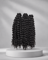 Burmese Curly