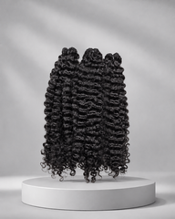Burmese Curly