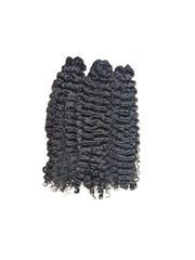 Burmese Curly