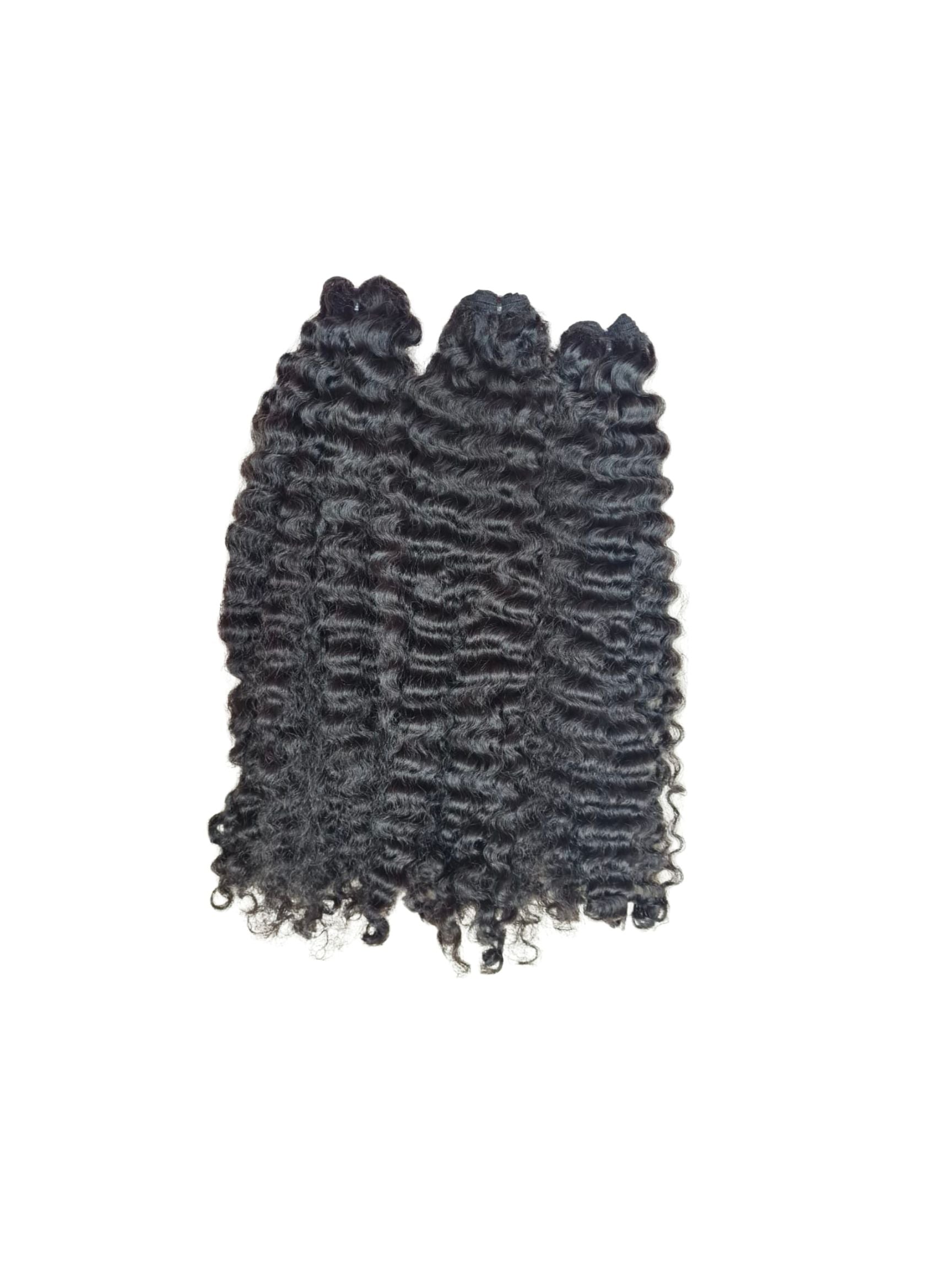 Burmese Curly